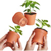 Clever Pots - Grow Kits Salad