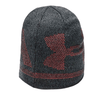 Under Armour Winter Warm Cap