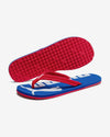 PUMA Epic Flip V2 Flip Flops