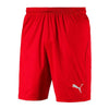 Puma Kids Shorts