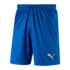 Puma Kids Shorts